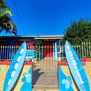 Pequi , Florianópolis Brésil